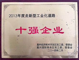 奥冠荣誉：十强企业