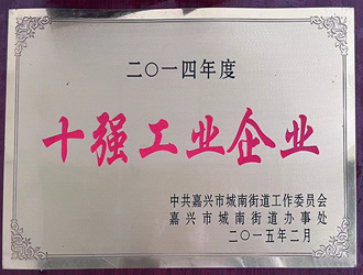 奥冠荣誉：十强工业企业